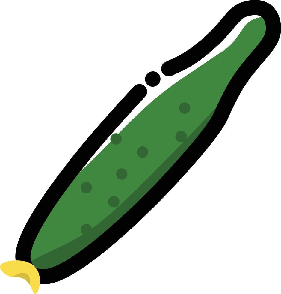 cucumber Illustration Vector