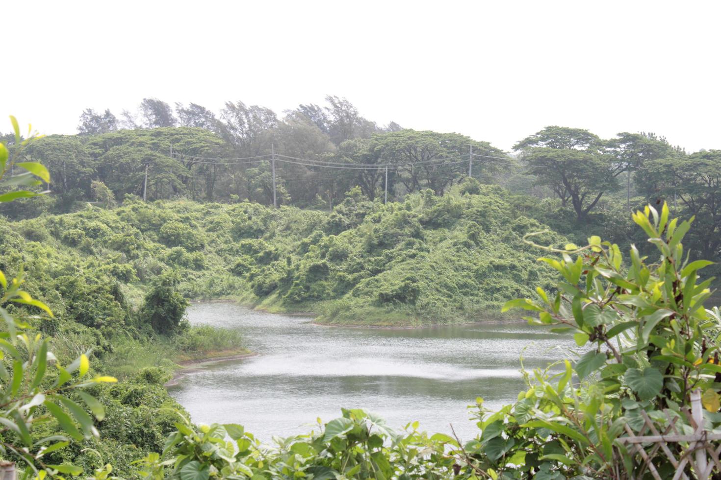 The beauty of Bangladesh photo