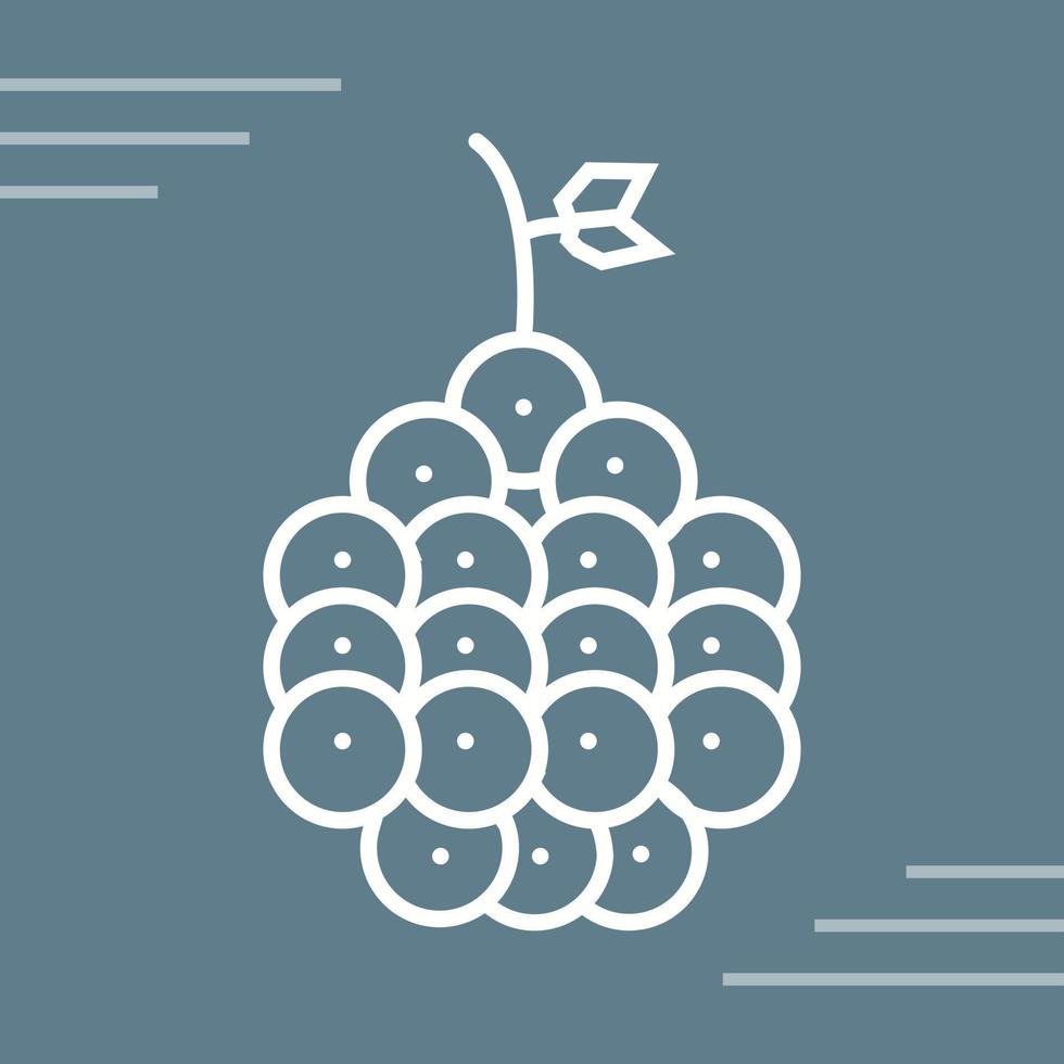 Raspberry Vector Icon