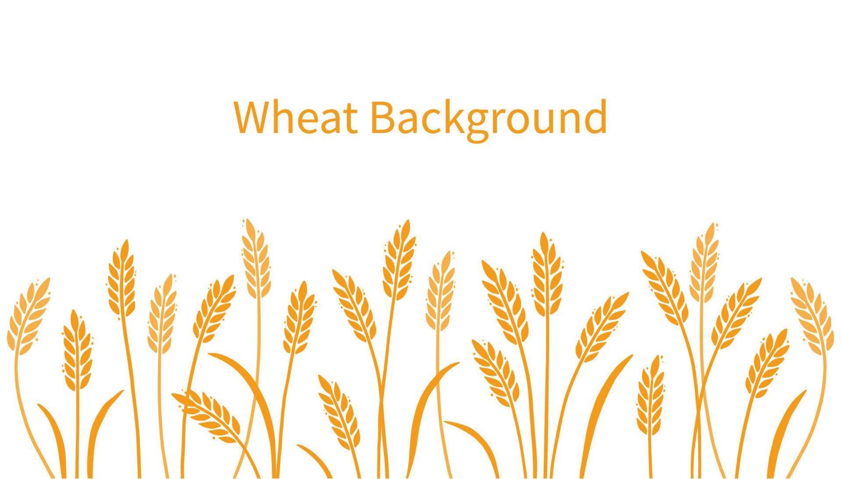 Wheat, barley, field background for oat, cereal vector