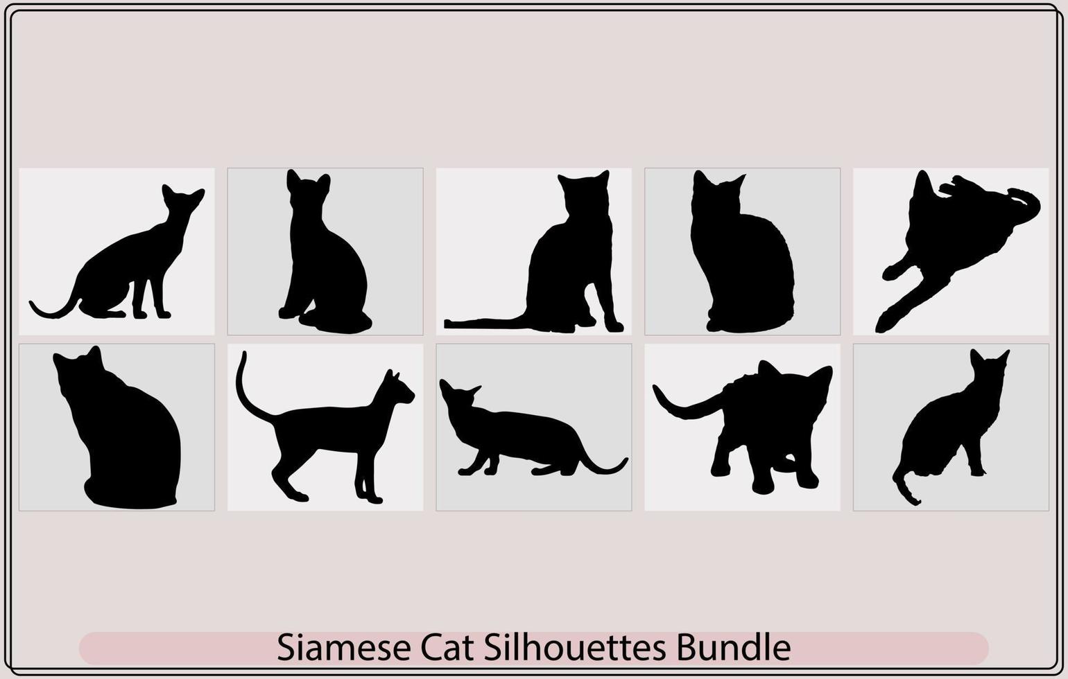 Siamese colorpoint cats. Vector illustration,Siamese cat,cats border set with silhouette