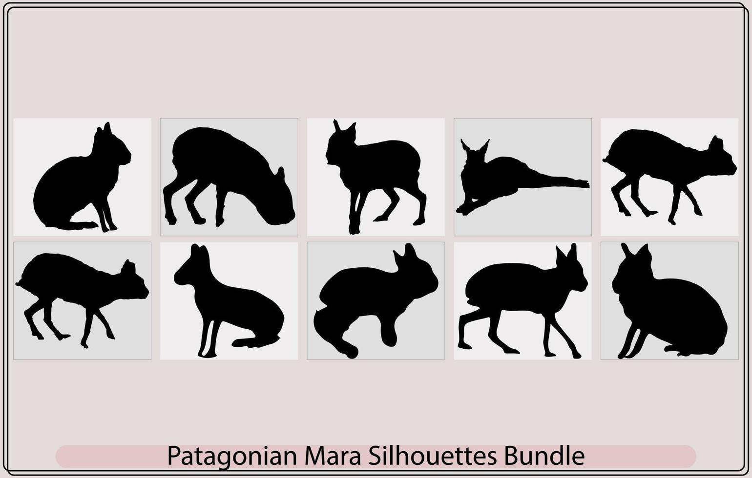 Patagonian mara rabbit,Patagonian mara rabbit,Patagonian mara vector, vector