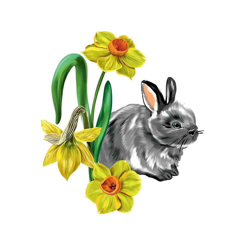 Gray rabbit with yellow flowers, daffodils. vector