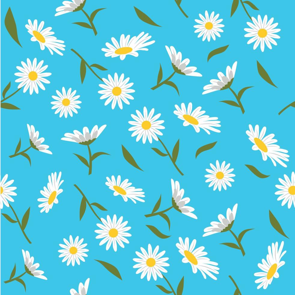 Daisy flowers seamless pattern on blue background, vector illustration