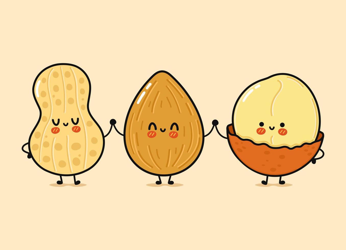 Cute, funny happy almonds, peanuts and Macadamia. Vector hand drawn cartoon kawaii characters, illustration icon. Funny happy cartoon almond, peanut and Macadamia mascot friends concept
