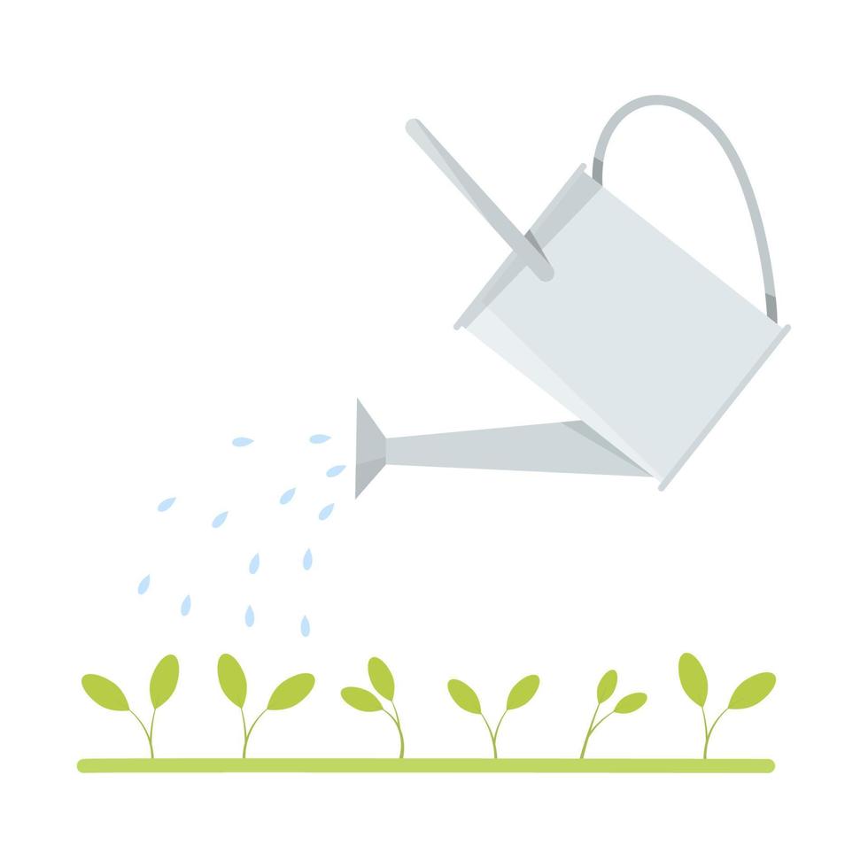 A metal watering can waters green seedlings vector