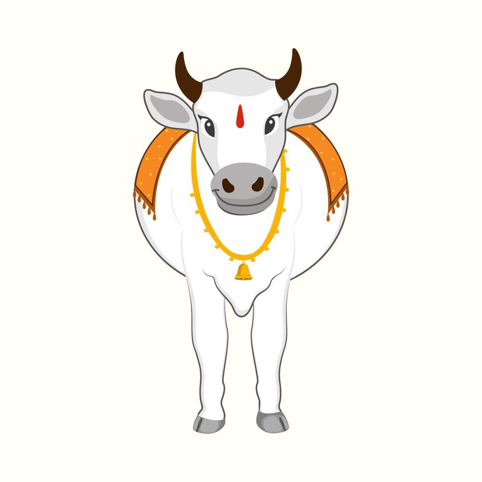 Front View Of Isolated Bull Or Cow Standing On White Background. vector