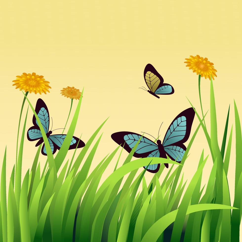 Beautiful Butterflies Flying With Daisies Flowers On Grass or Leaves Background. vector