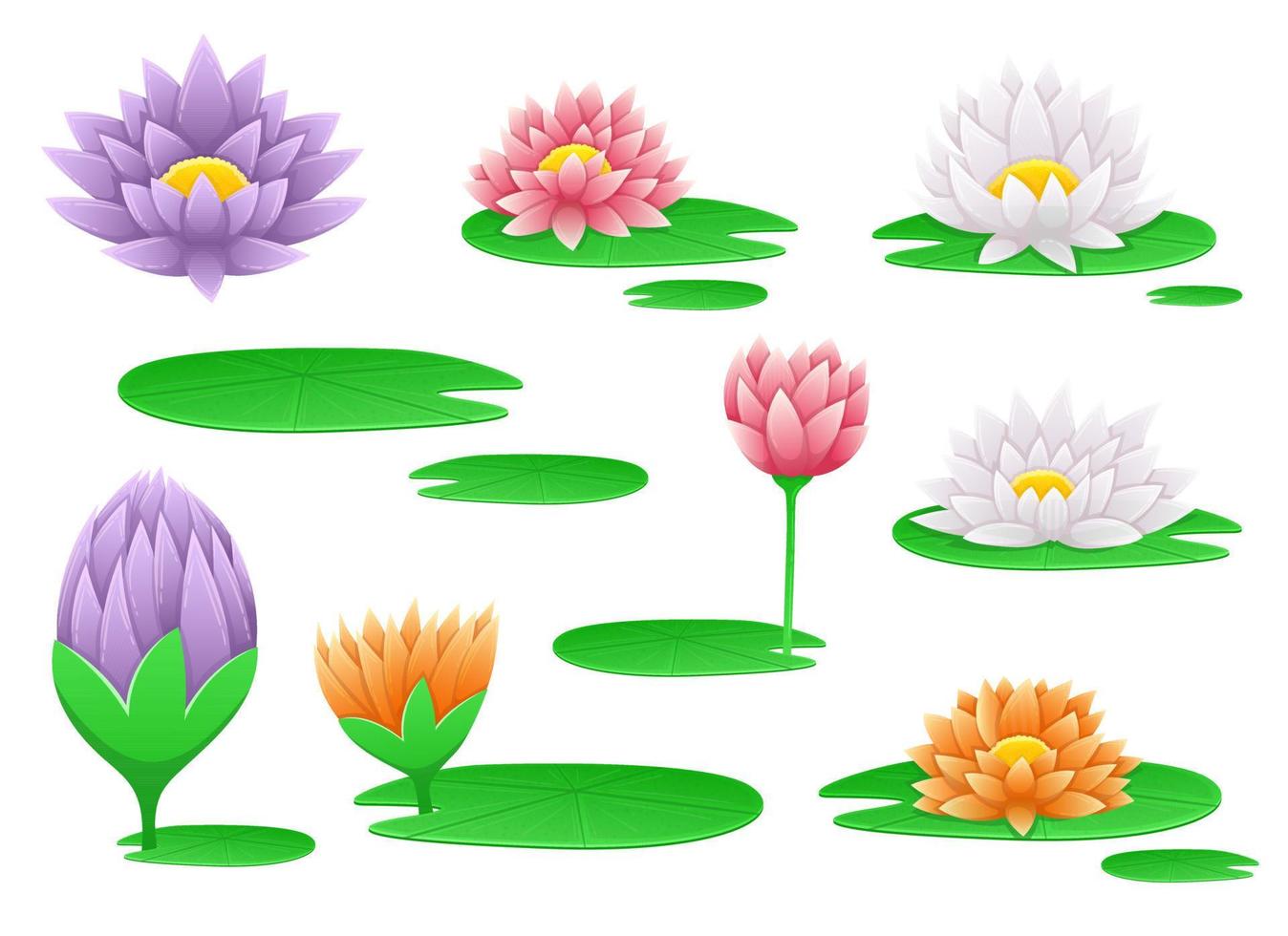 Water lily flower vector design illustration isolated on background