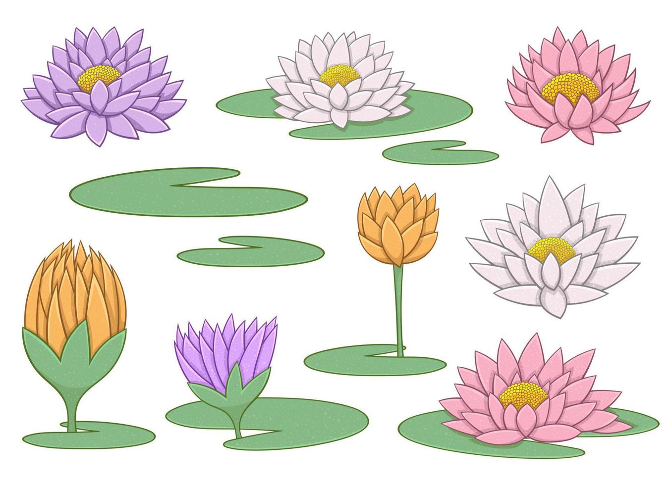 Water lily flower vector design illustration isolated on background