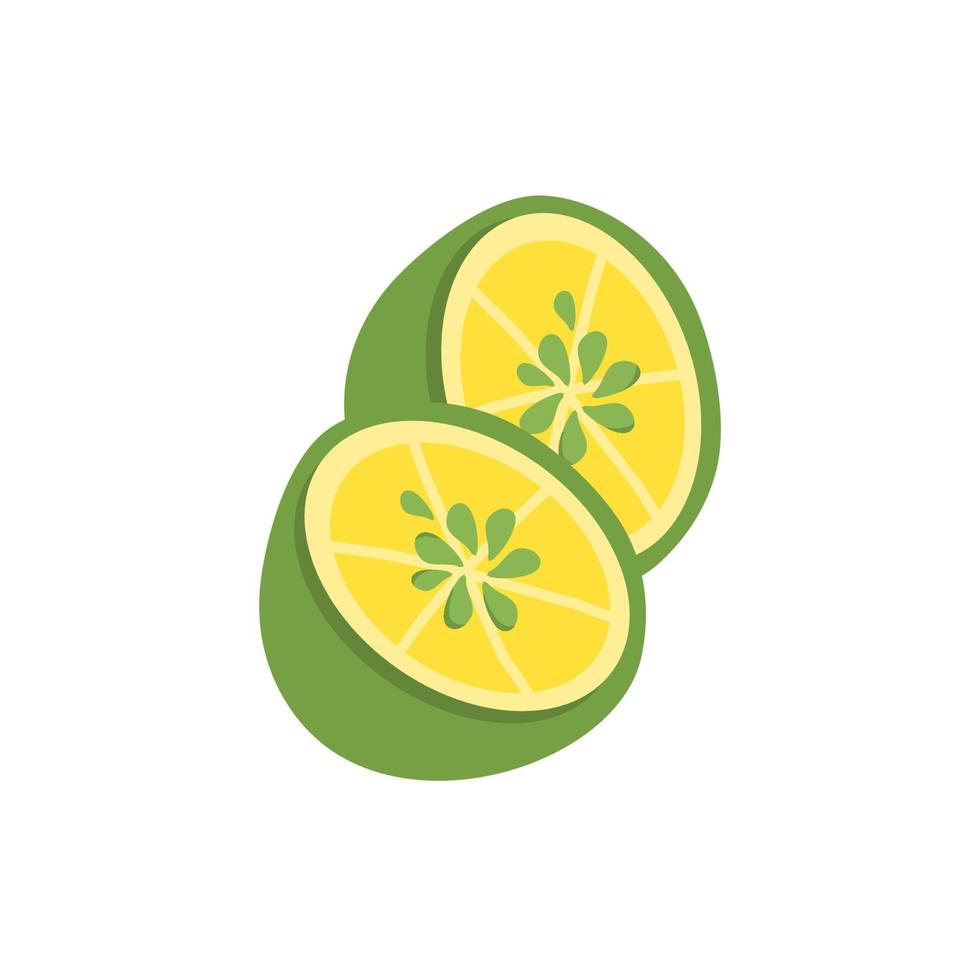 lime slice jeruk nipis vector