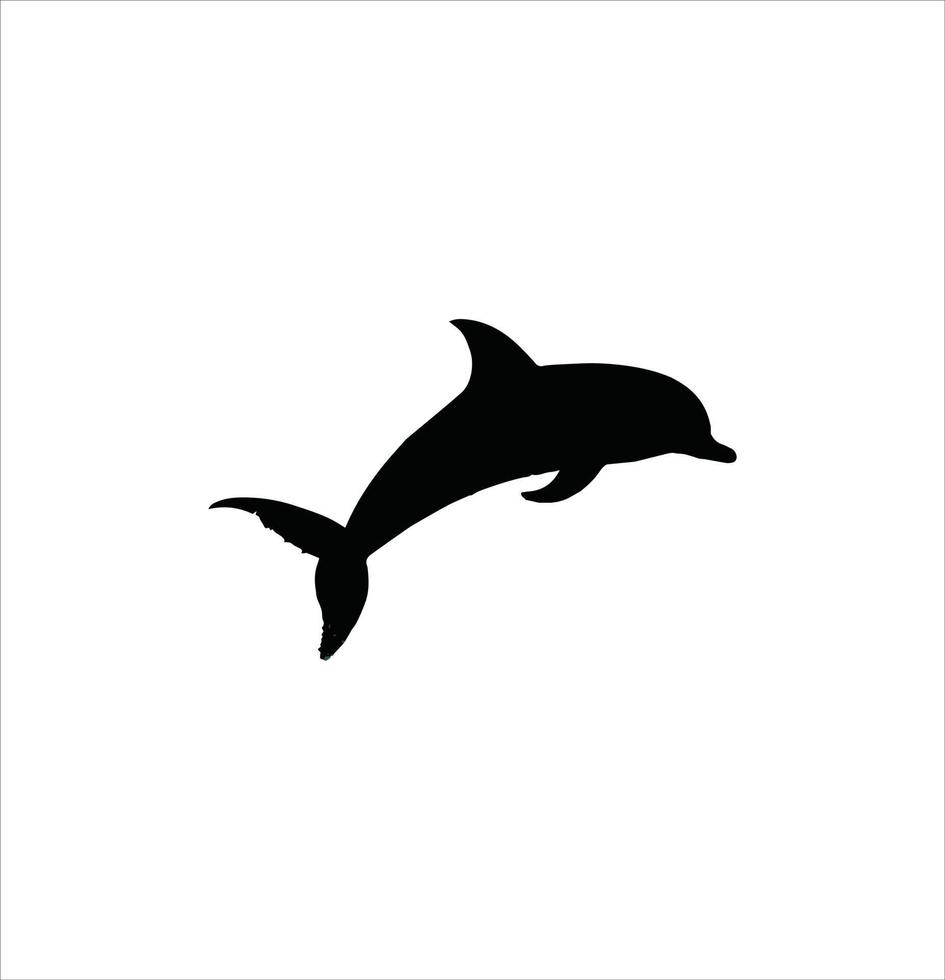 One dolphin silhouette vector art work.