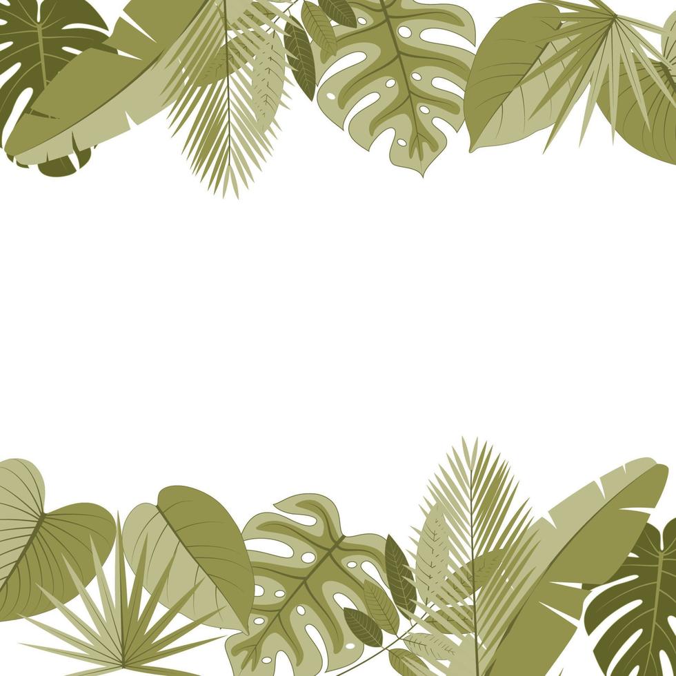 tropical hojas en un blanco antecedentes vector