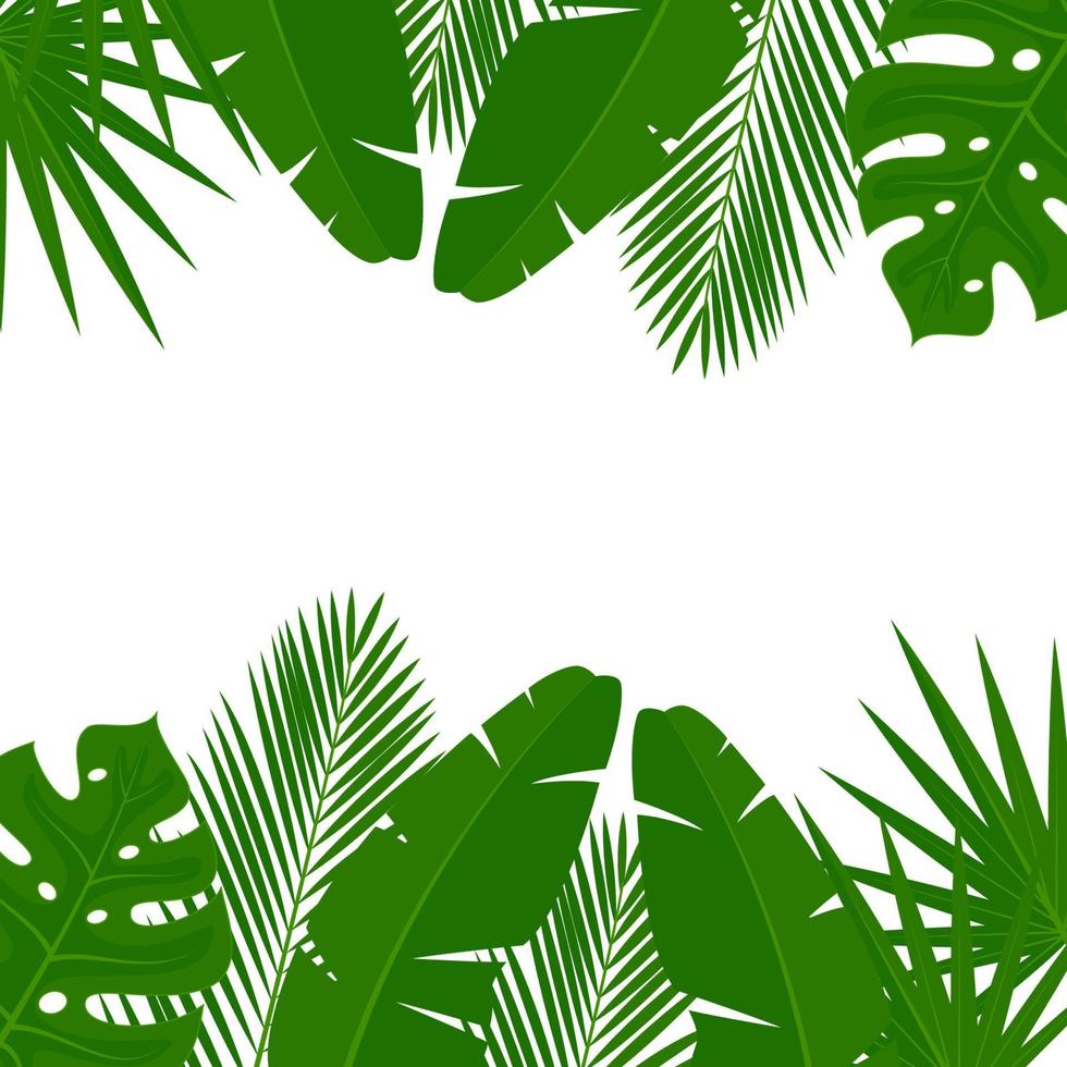 Tropical leaves on a white background vector