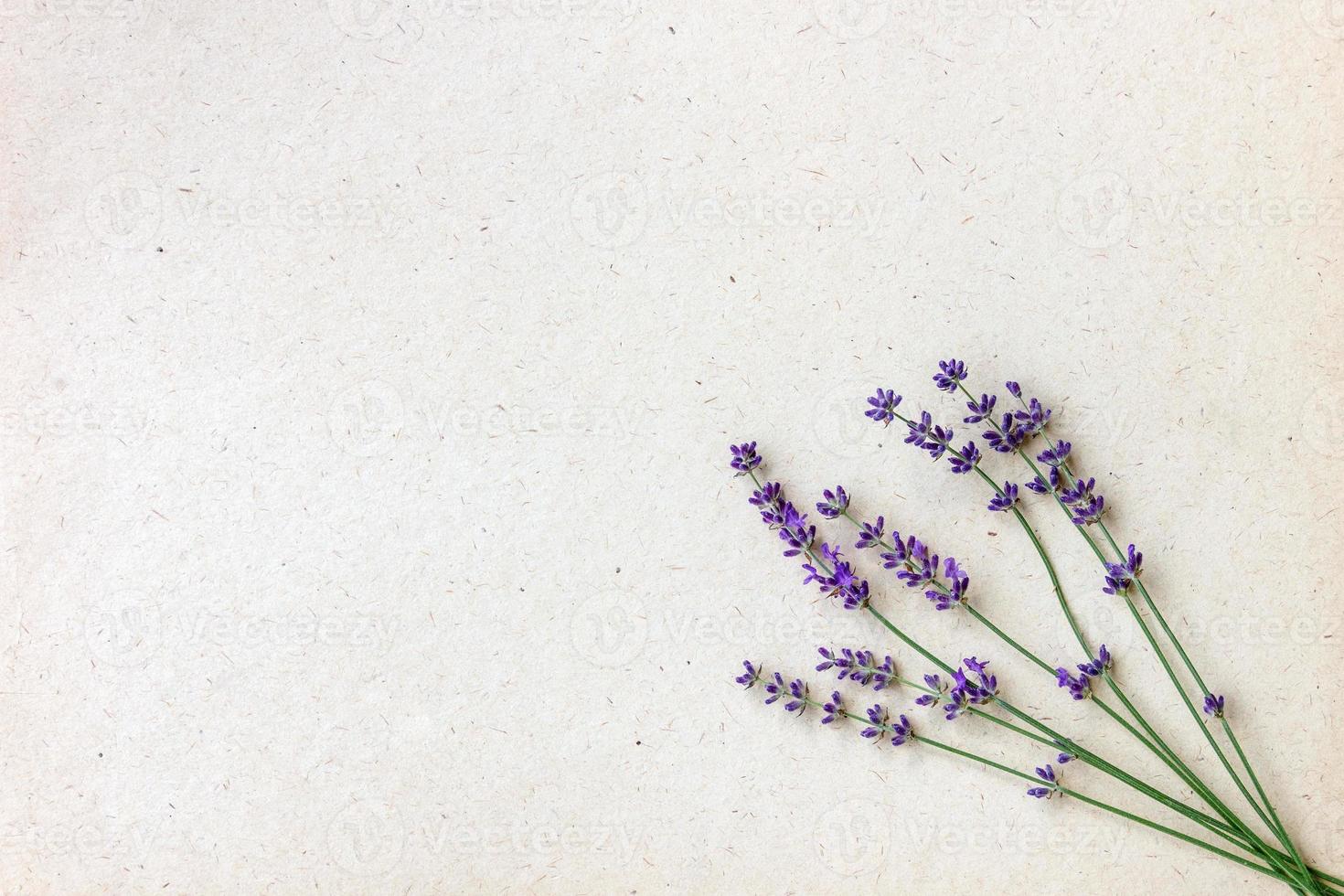 Natural lavender flowers on craft paper with space for text on the left. photo