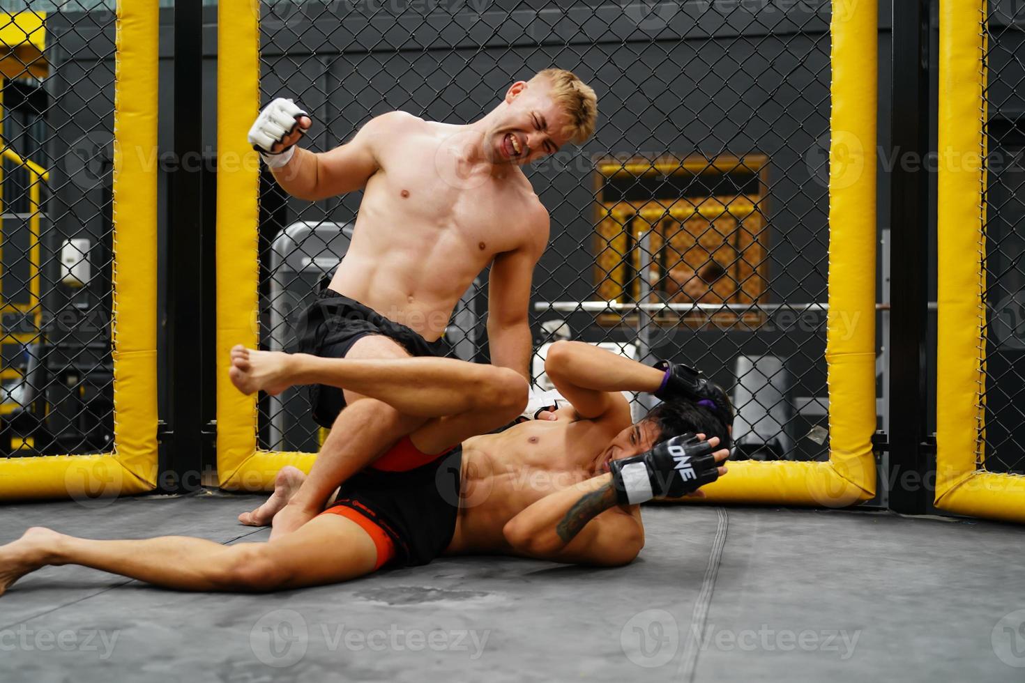 Mixed Martial Art, When the opponent is knocked down throwing fists into an opponent's face or body will cause the opponent to raise his hand to defend and not counterattack photo