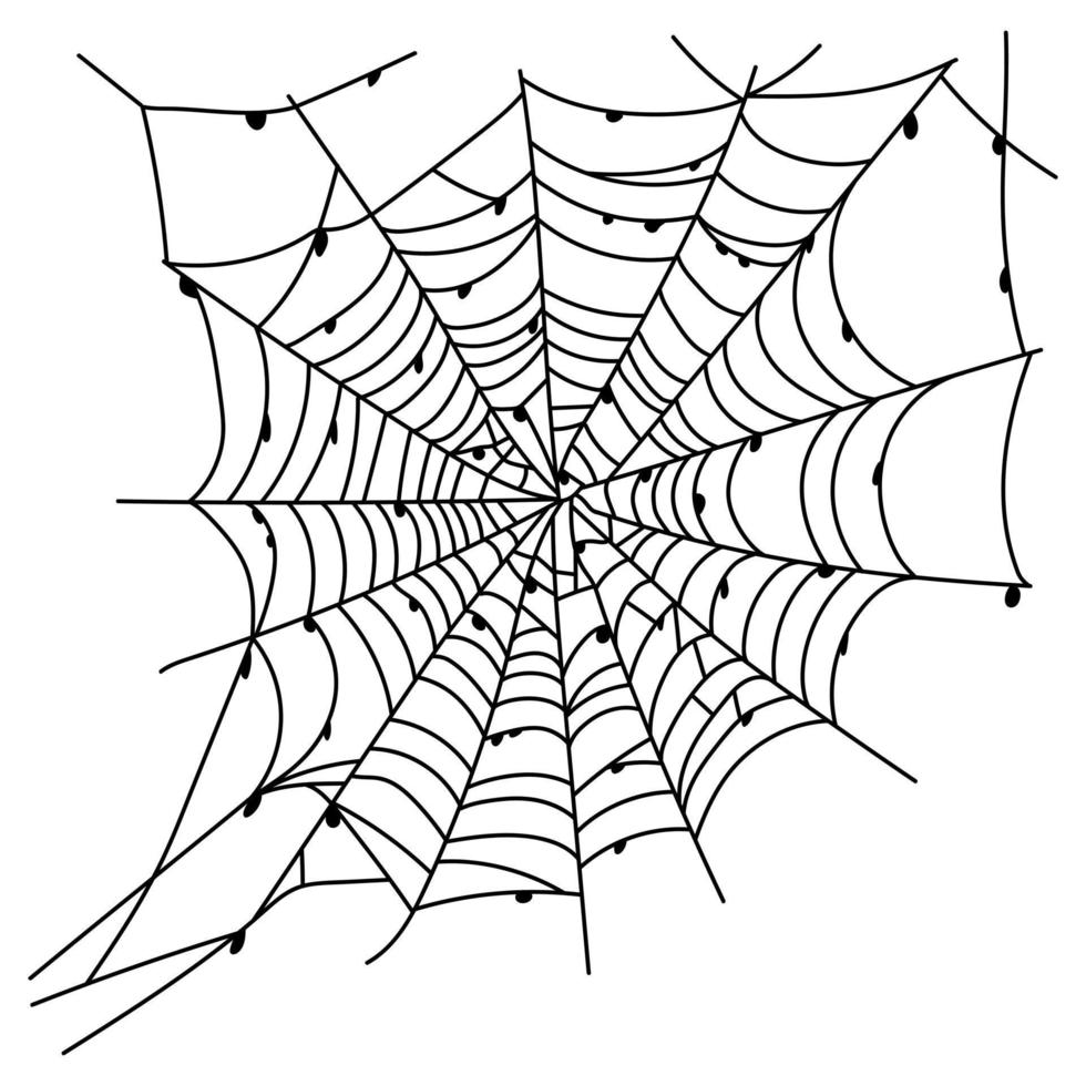 Scary spider web isolated. Spooky Halloween decoration. Outline cobweb illustration vector