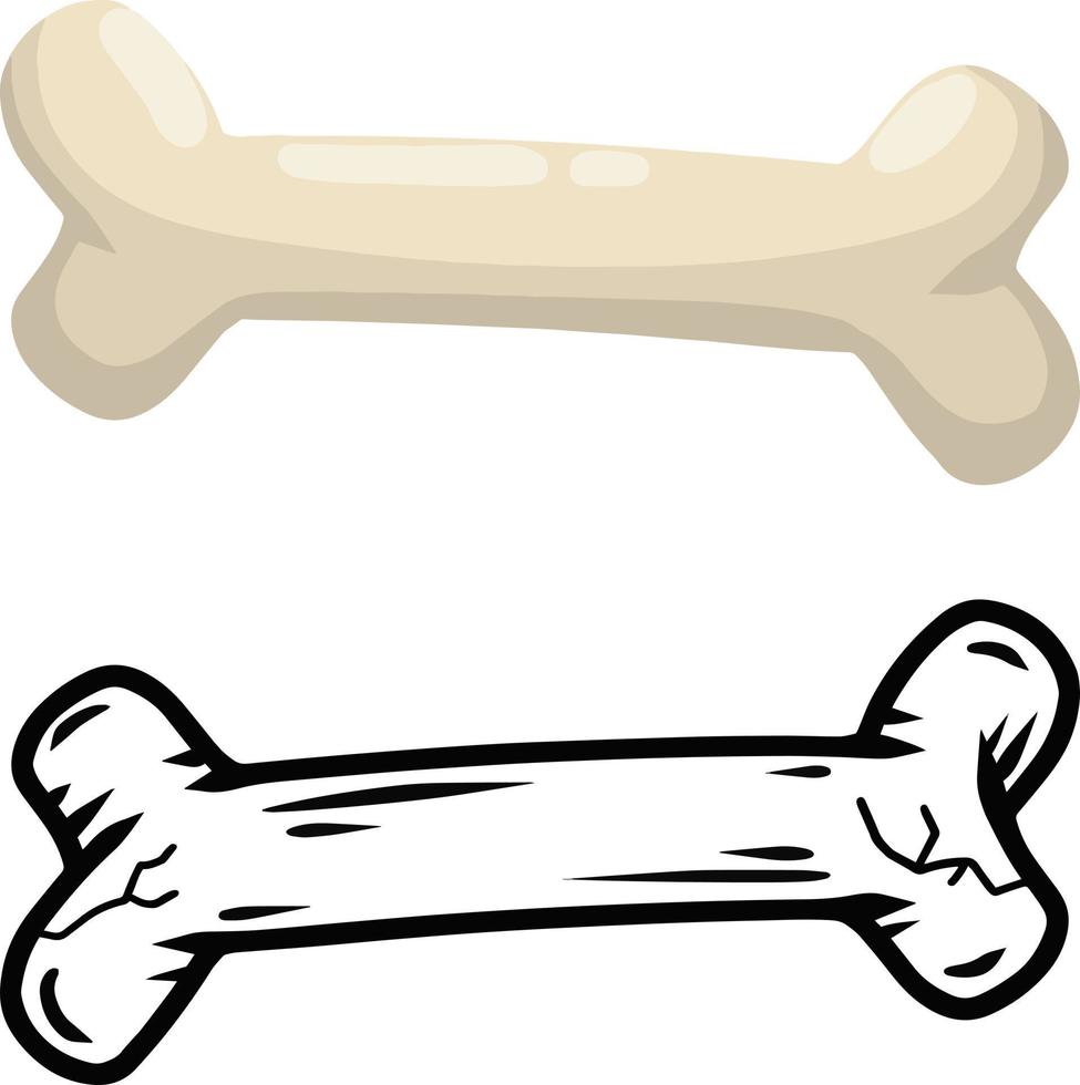 conjunto de huesos. parte de el humano esqueleto. blanco perro juguete. vector dibujos animados y plano ilustración