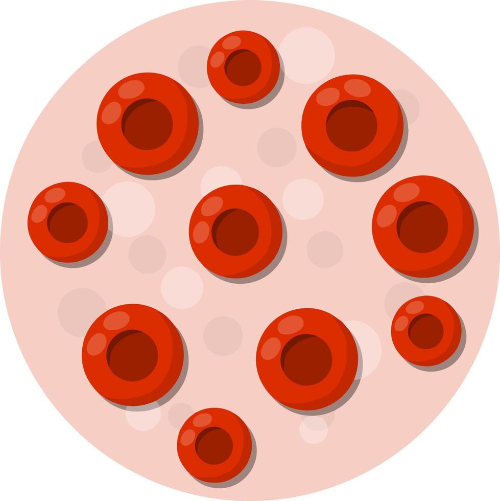 Blood under the microscope. Red cell analysis. Disease test. Plasma and erythrocyte. Science and education. Cartoon flat illustration. Element of biology and Cytology vector