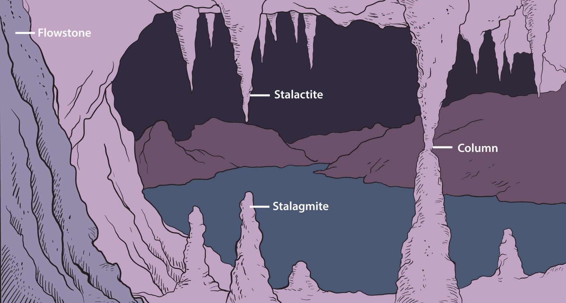 illustration of cave features infographic vector