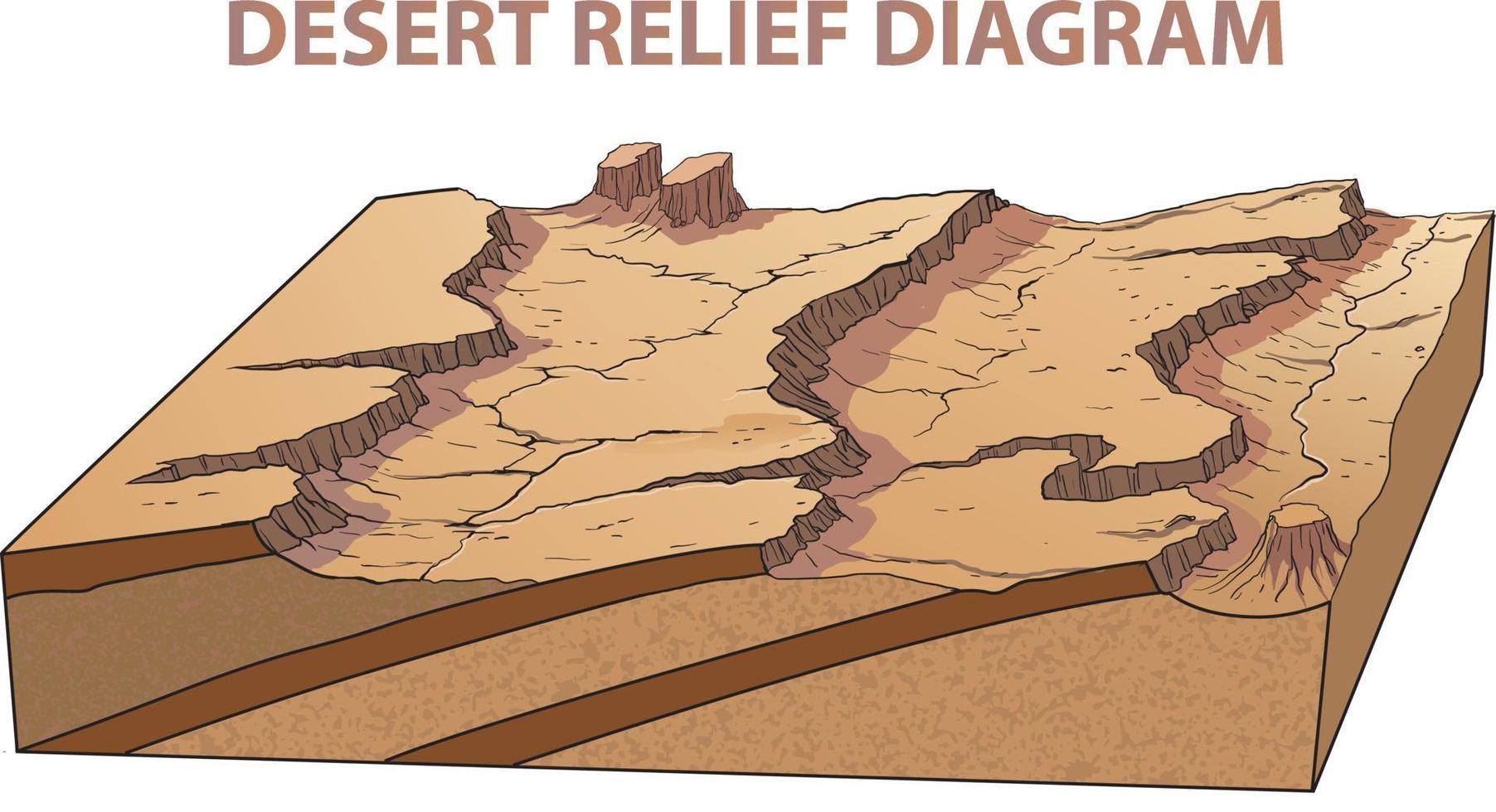 illustration of desert relief diagram vector