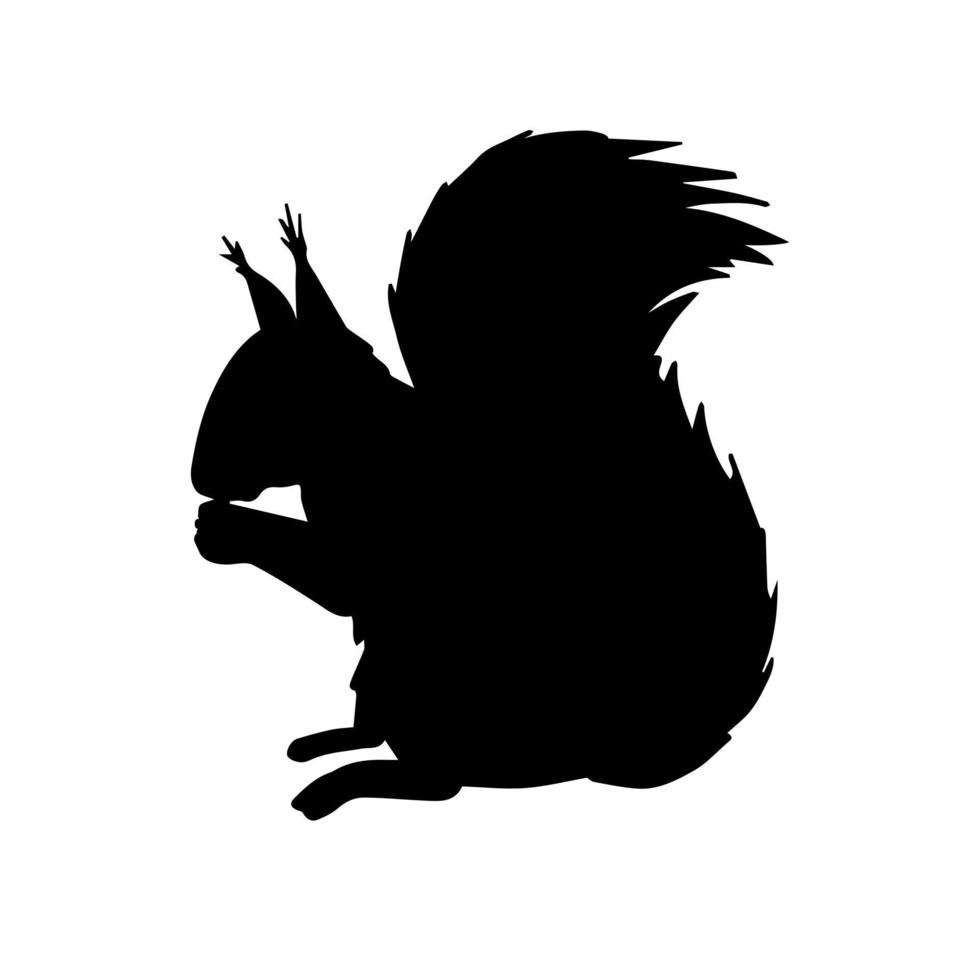 Vector hand drawn squirrel silhouette