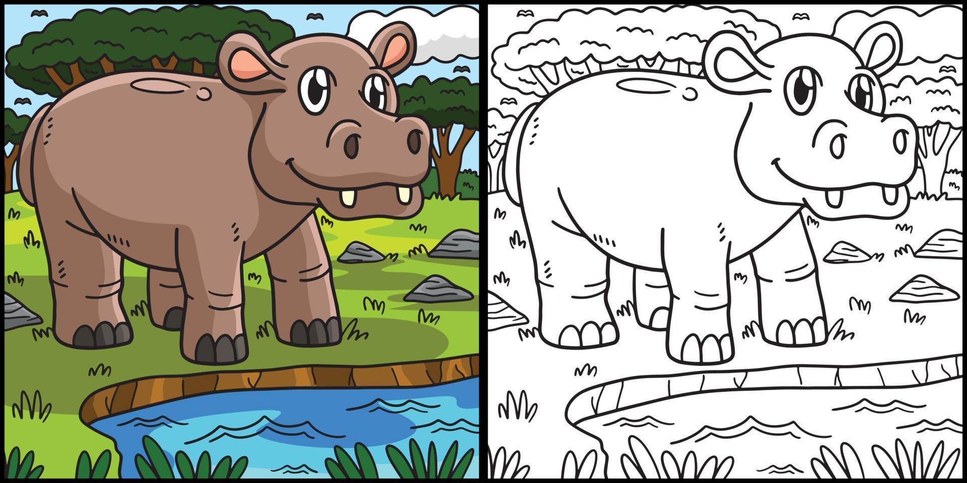 Hippopotamus Coloring Page Colored Illustration vector