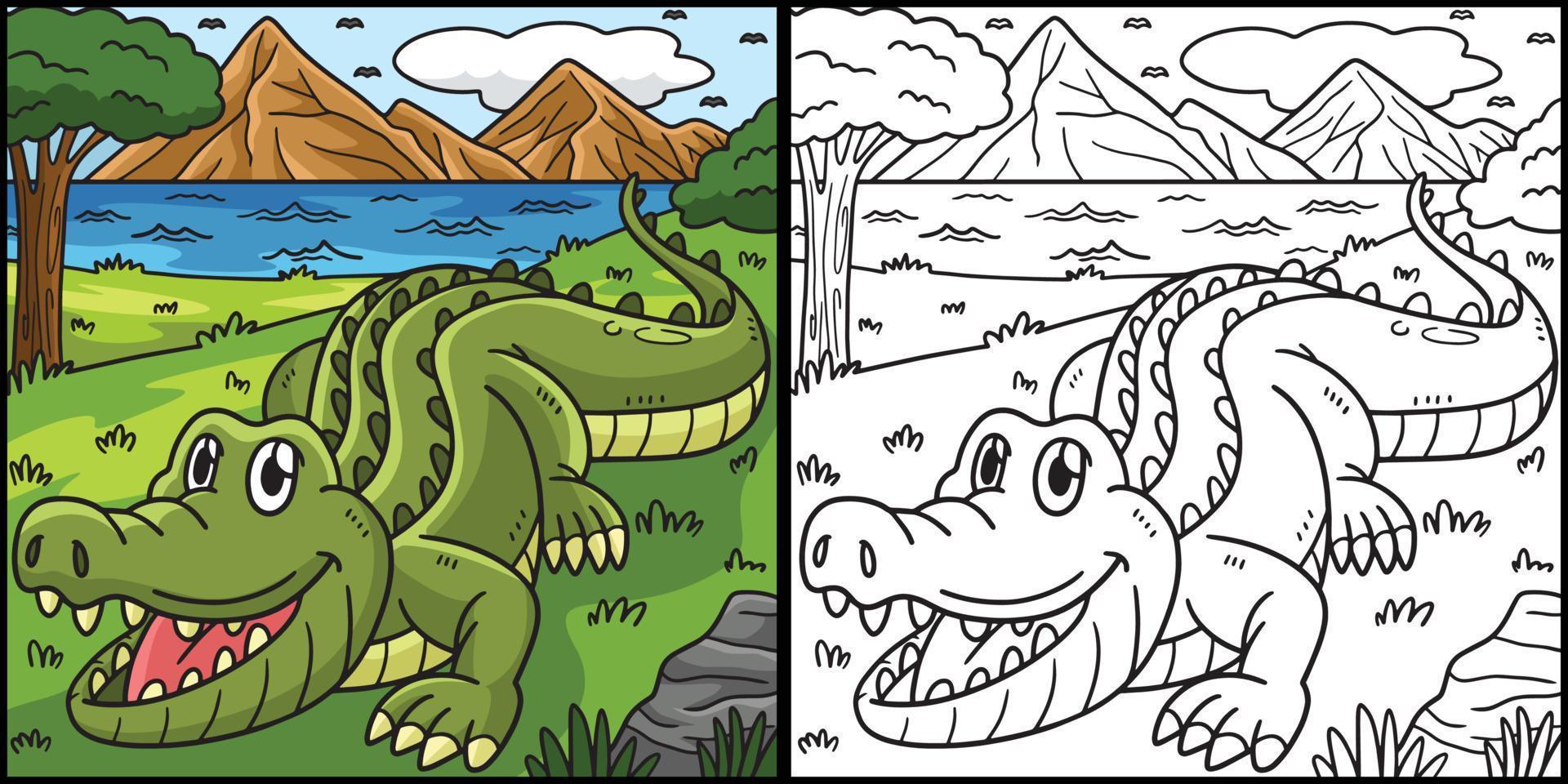 Crocodile Coloring Page Colored Illustration vector