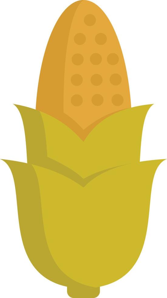 corn Illustration Vector