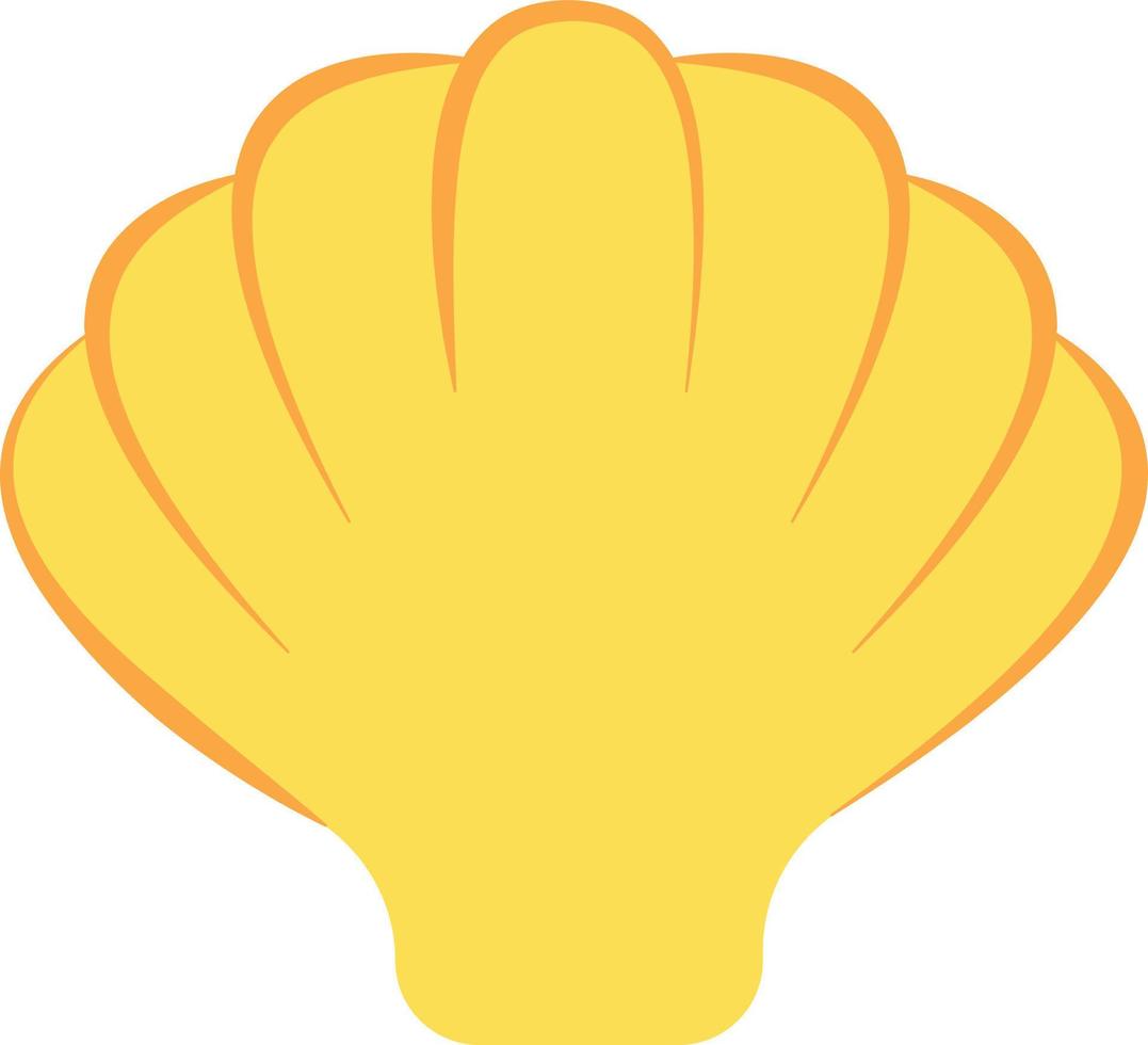 shell Illustration Vector