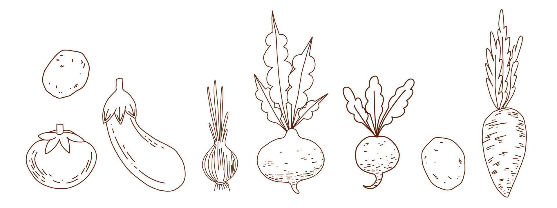 A set of vector seasonal vegetables drawn with a single outline on a white background. Radishes, beets, eggplant, carrots, onions, potatoes. Suitable for menu design, cuisine, invitations, textiles.