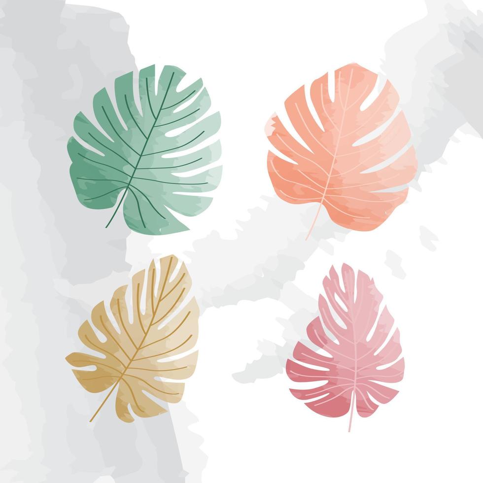 Monstera leaves watercolor elements set vector