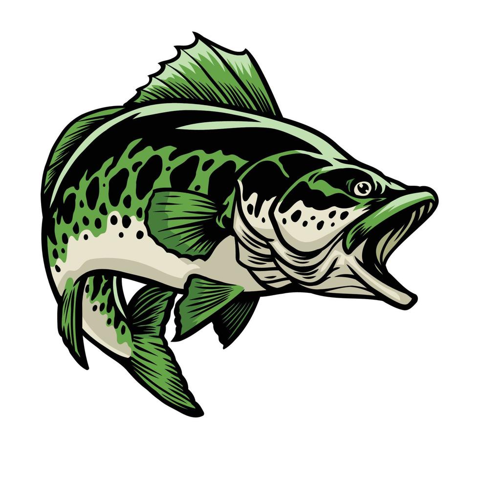 grande bocazas bajo pescado vector