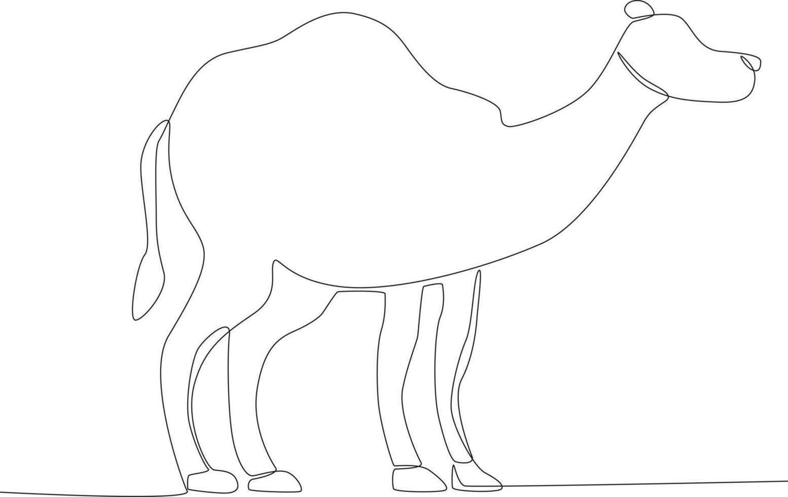 A camel for sacrifice vector