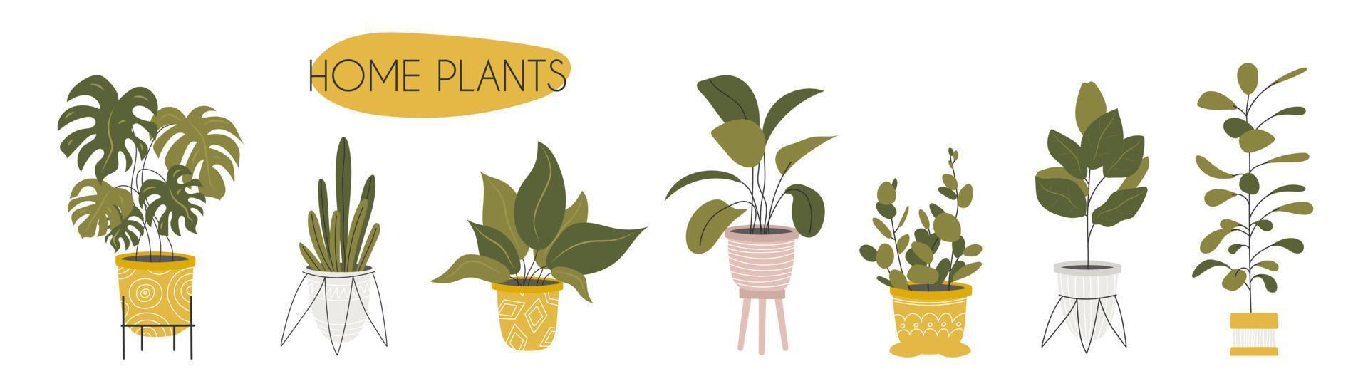 conjunto de diferente pegatinas de interior plantas en flor ollas. exótico plantas, monstera y otro hogar decorativo flores vector valores ilustración. dibujado a mano estilo. pegatinas para diario y cuaderno.