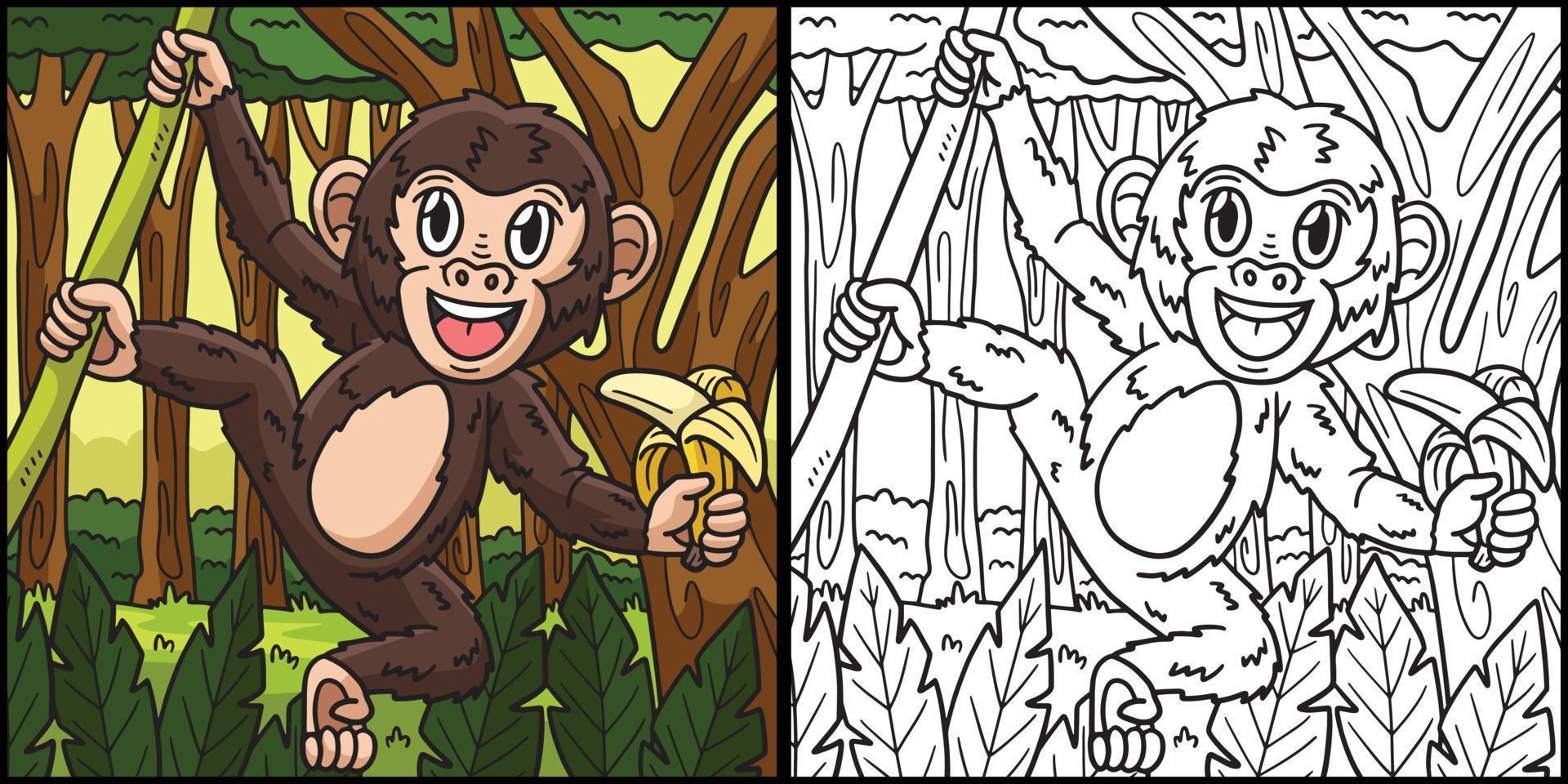 Monkey Coloring Page Colored Illustration vector