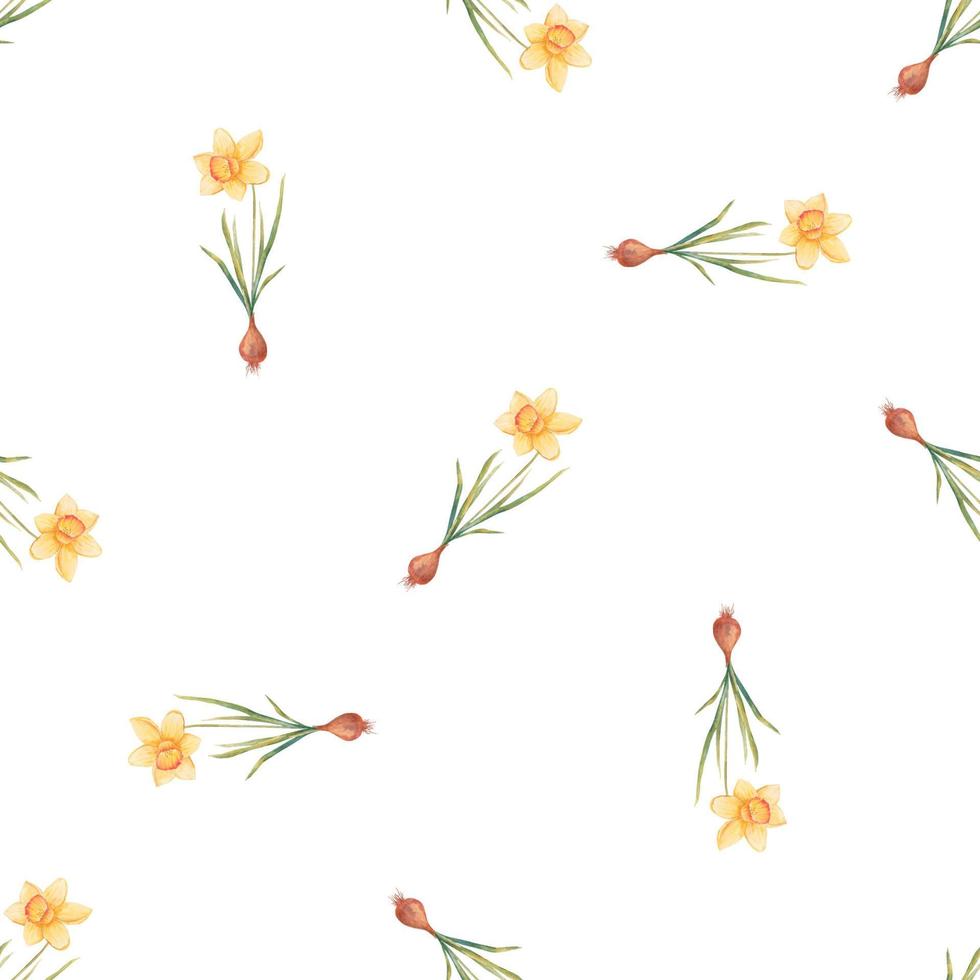 Watercolor botanical realistic floral pattern with narcissus. Bright yellow daffodil on a white background. Natural and vibrant repeated print for textile, wallpaper. Spring flowers vector