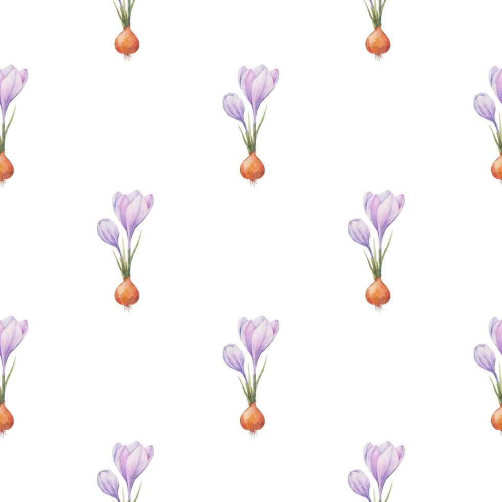 Crocus pattern. Saffron field. Seamless pattern with purple crocuses. Seamless vector pattern on a transparent background. Background illustration.  Wrapping background