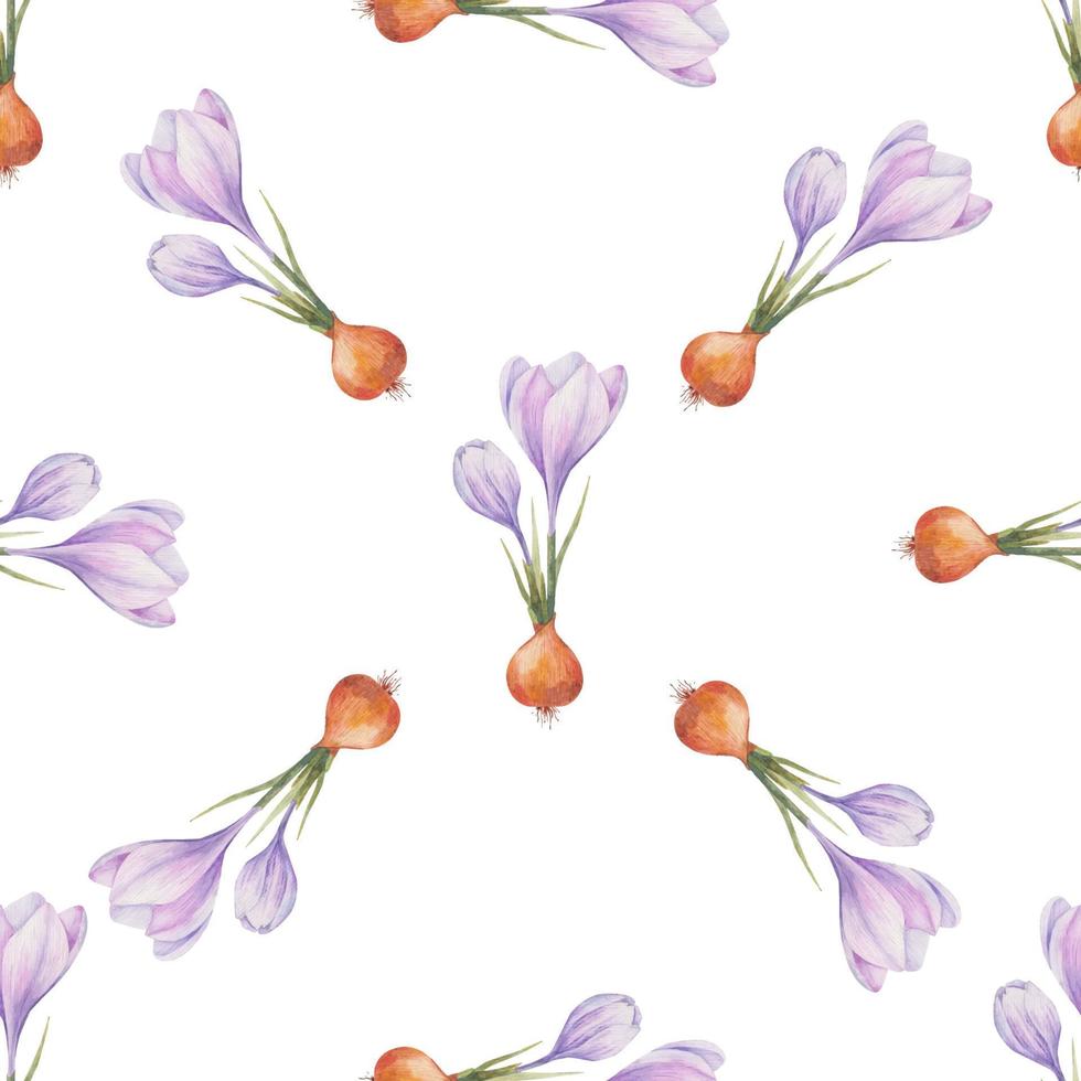 Crocus pattern. Saffron field. Seamless pattern with purple crocuses. Seamless vector pattern on a transparent background. Background illustration.  Wrapping background