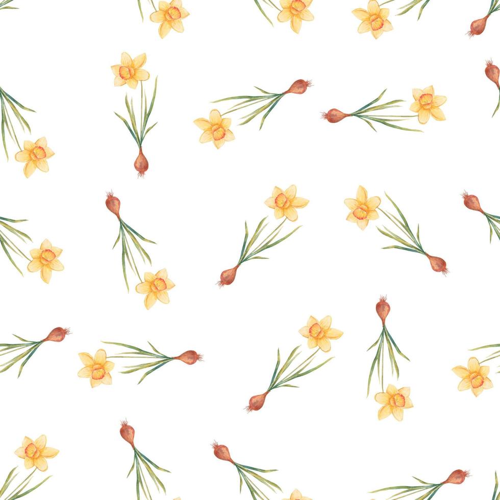 Watercolor botanical realistic floral pattern with narcissus. Bright yellow daffodil on a white background. Natural and vibrant repeated print for textile, wallpaper. Spring flowers vector
