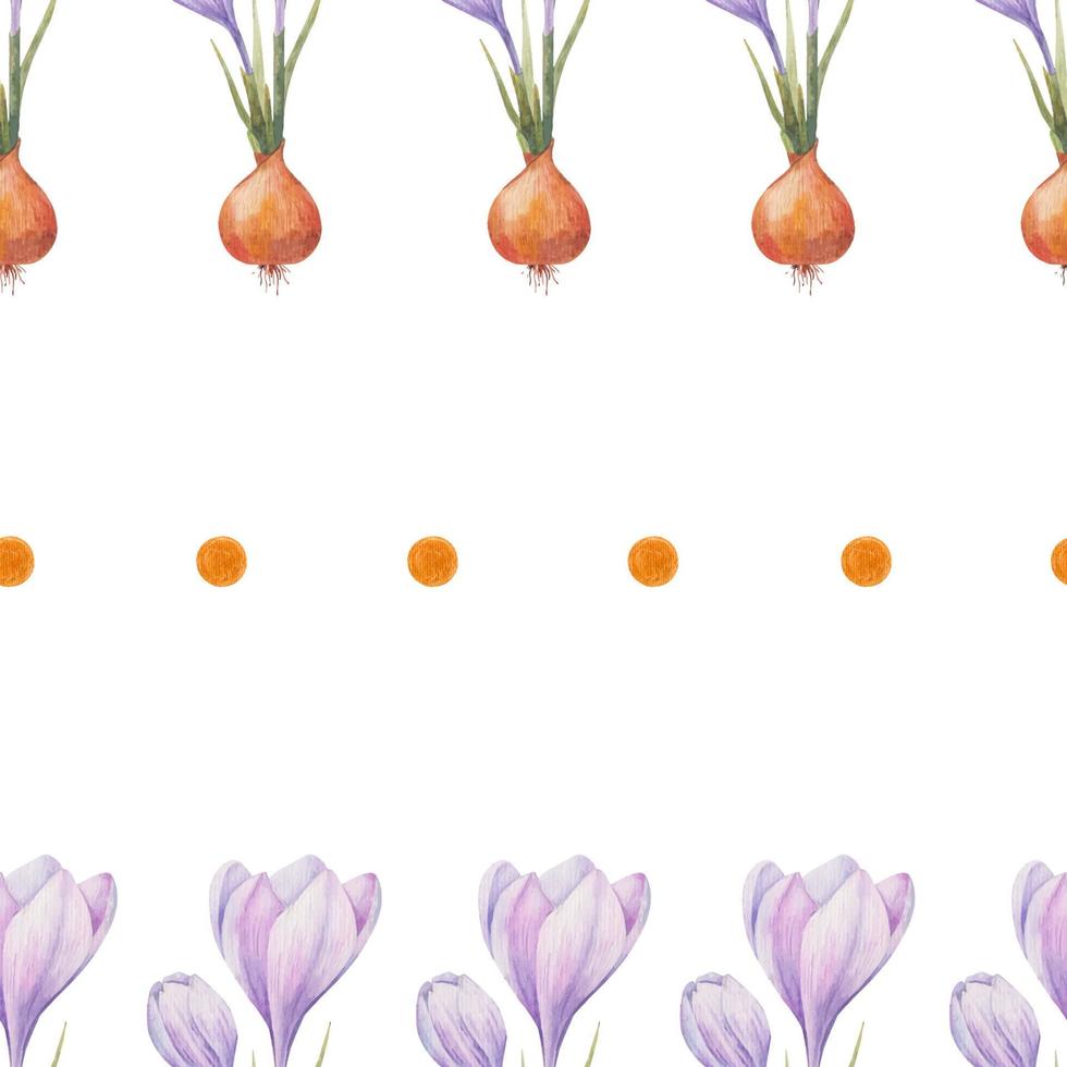 Crocus pattern. Saffron field. Seamless pattern with purple crocuses. Seamless vector pattern on a transparent background. Background illustration.  Wrapping background