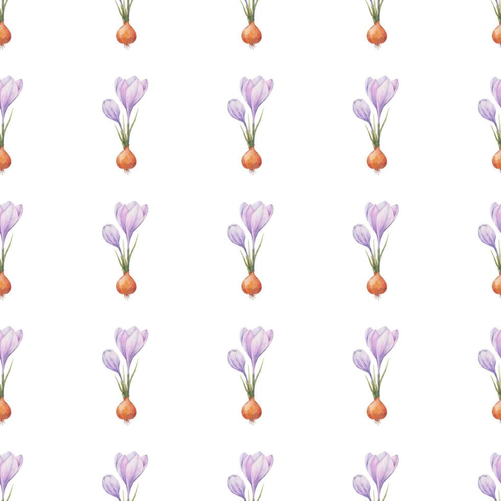 Crocus pattern. Saffron field. Seamless pattern with purple crocuses. Seamless vector pattern on a transparent background. Background illustration.  Wrapping background