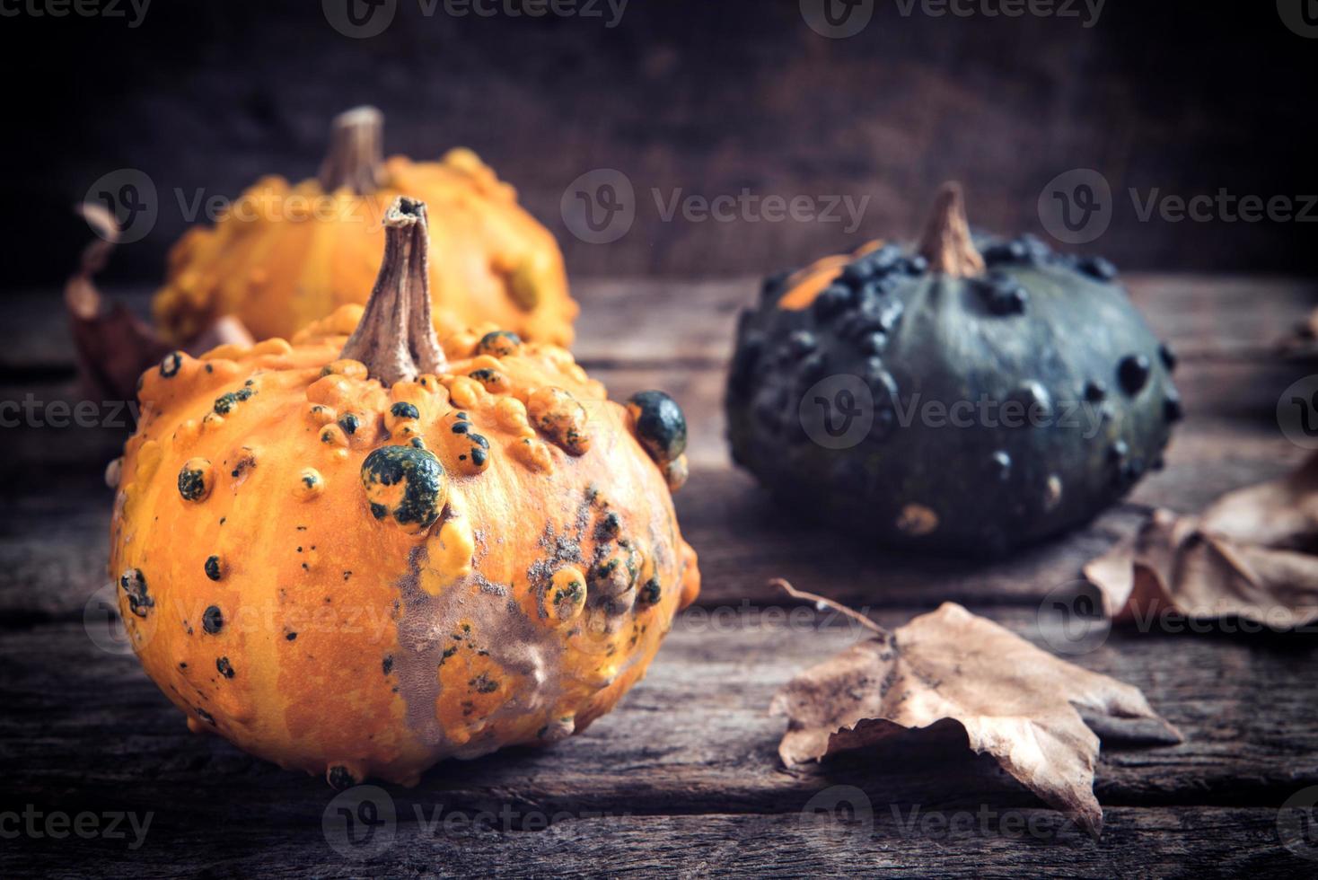 otoño hojas y calabazas foto