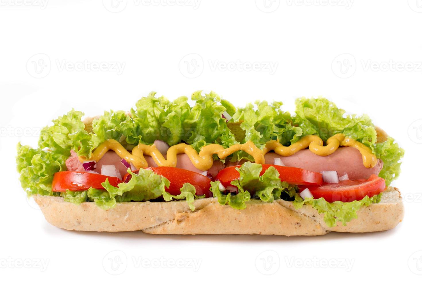 Hot dog isolated photo