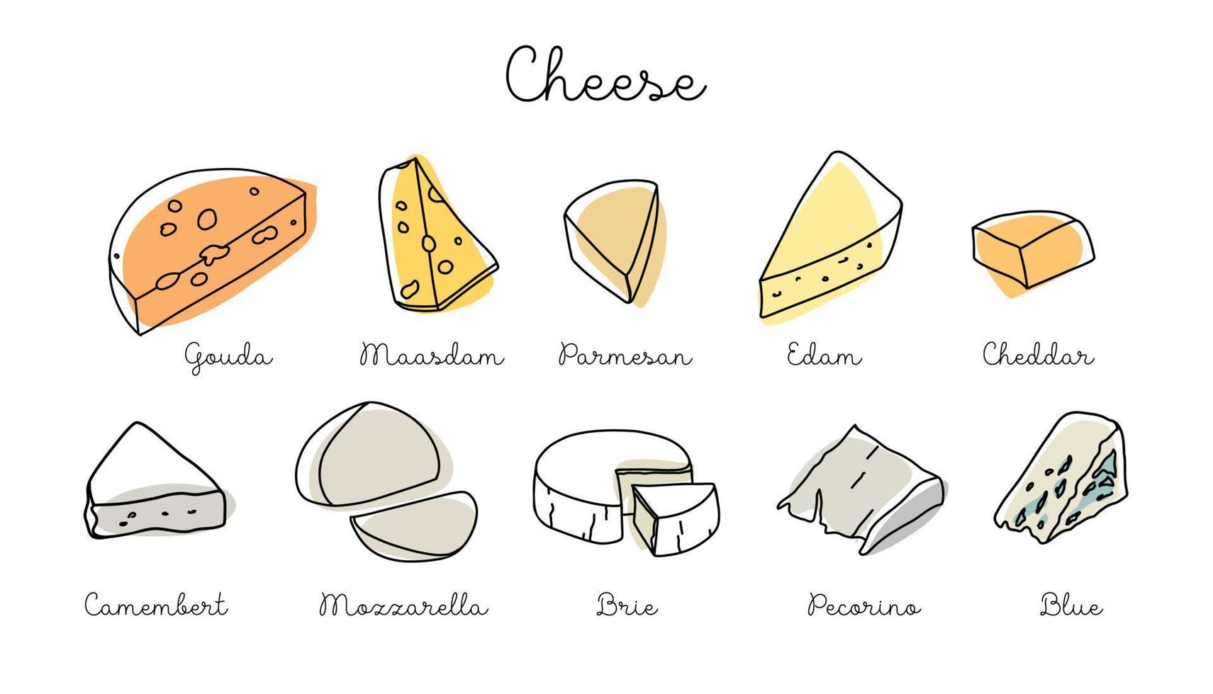 Sketch of different cheeses. Vector set contours of dairy products. Isolated cheese collection