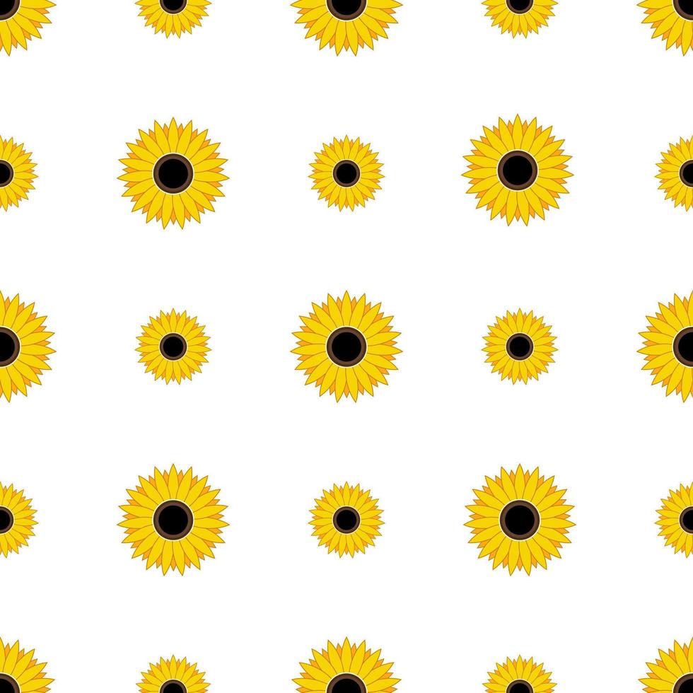 Seamless pattern yellow Sunflowers isolated on white background. vector