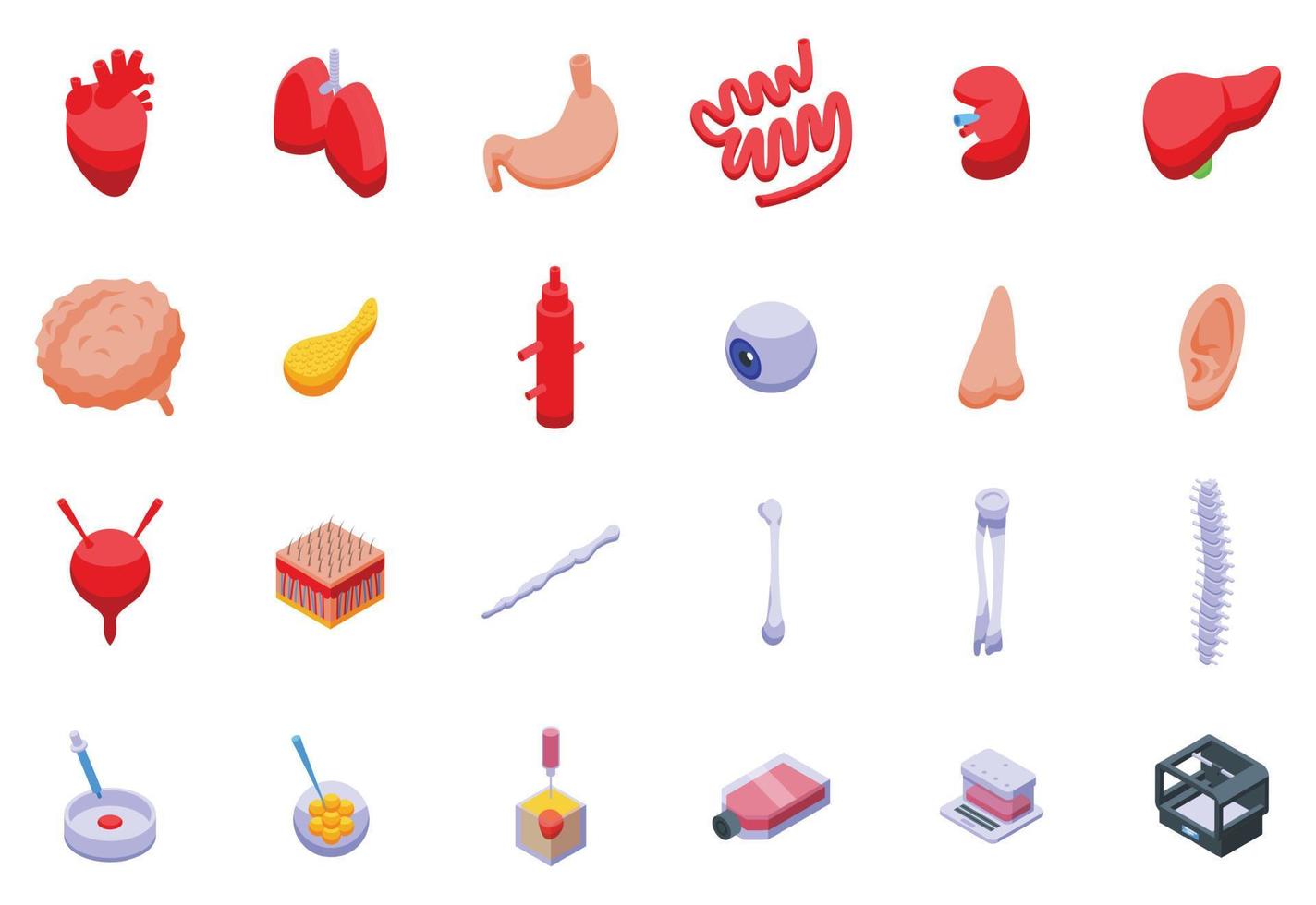 Growing Organs icons set isometric vector. Human medicine vector