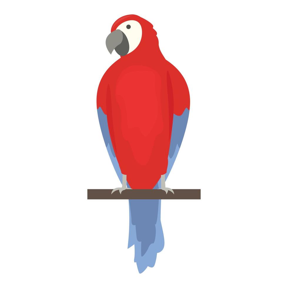 Zoo parrot icon cartoon vector. Macaw bird vector