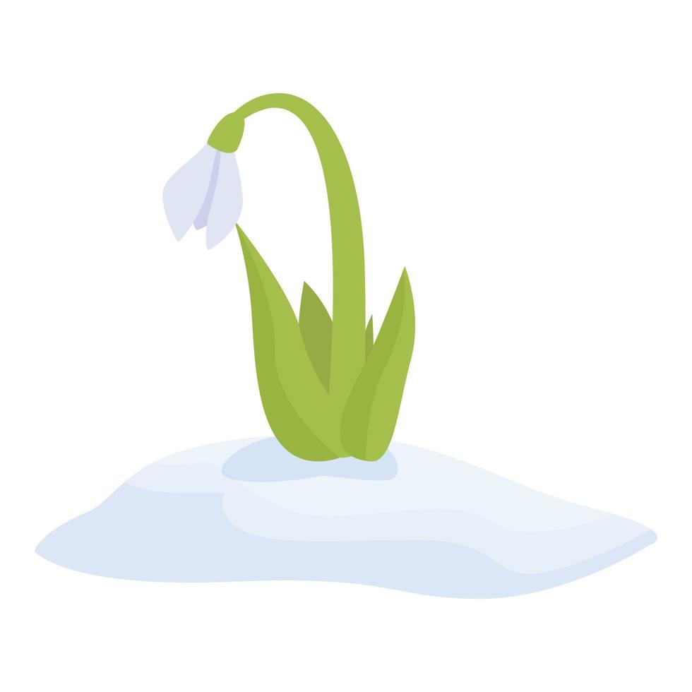 Snowdrop icon cartoon vector. Snow flower vector