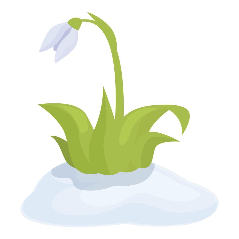 Snowdrop plant icon cartoon vector. Spring flower vector